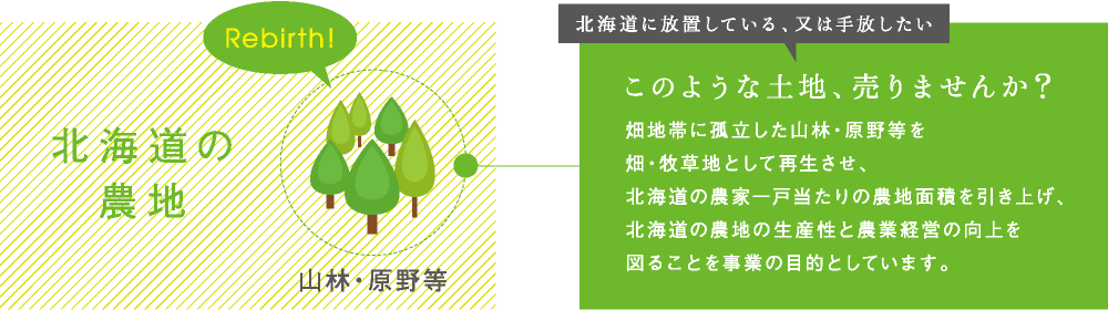 北海道に放置している、又は手放したい このような土地、売りませんか？畑地帯に孤立した山林・原野等を畑・牧草地として再生させ、北海道の農家一戸当たりの農地面積を引き上げ、北海道の農地の生産性と農業経営の向上を図ることを事業の目的としています。