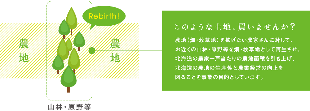 このような土地、買いませんか？農地（畑・牧草地）を拡げたい農家さんに対して、お近くの山林・原野等を畑・牧草地として再生させ、北海道の農家一戸当たりの農地面積を引き上げ、北海道の農地の生産性と農業経営の向上を図ることを事業の目的としています。