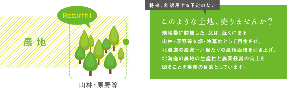 将来、利活用する予定のない このような土地、売りませんか？畑地帯に隣接した、又は、近くにある山林・原野等を畑・牧草地として再生させ、北海道の農家一戸当たりの農地面積を引き上げ、北海道の農地の生産性と農業経営の向上を図ることを事業の目的としています。