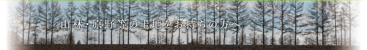 山林・原野等の土地をお持ちの方へ